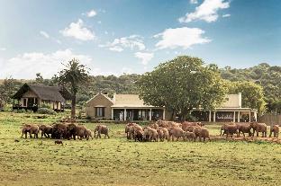 Addo South Africa Hotels