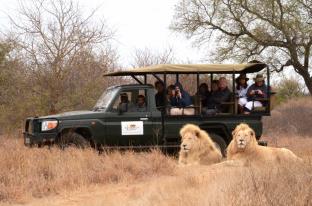 Thornybush Game Reserve South Africa Hotels