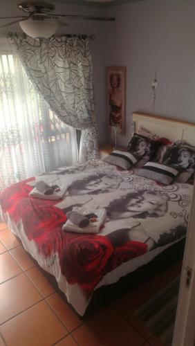 Jeffreys Bay South Africa Hotels