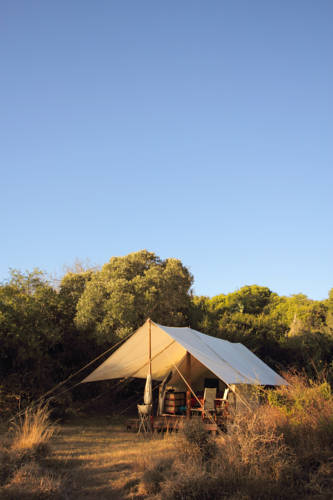 Addo South Africa Hotel