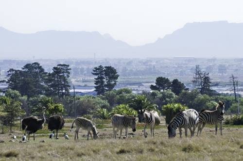 Kuilsrivier South Africa Hotel