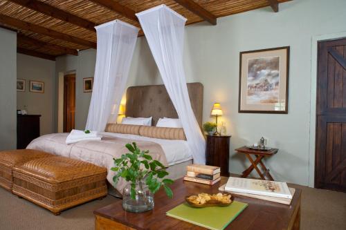 Addo South Africa Hotels