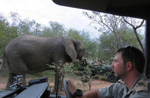 Hoedspruit South Africa Hotels
