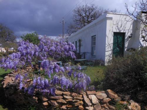 McGregor South Africa Hotel