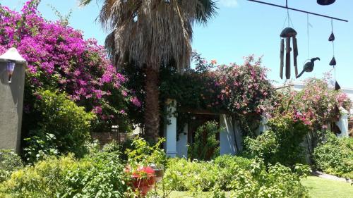 Graaff-Reinet South Africa Hotels