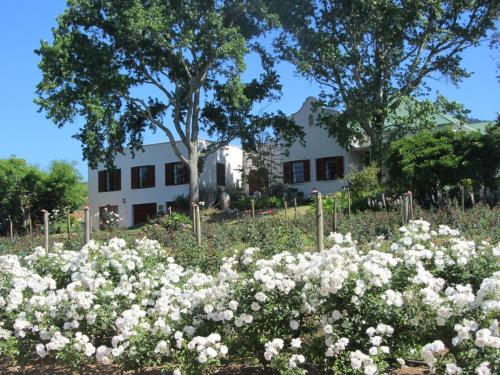 Stellenbosch South Africa Hotels