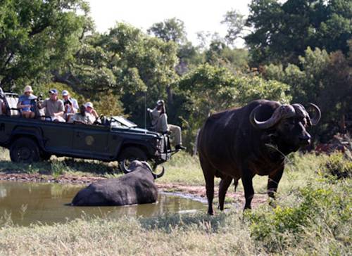 Timbavati Game Hotel South Africa Hotel