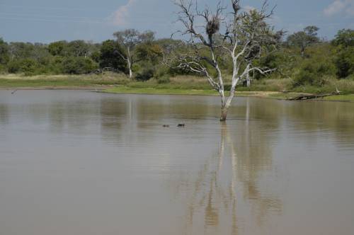 Thornybush Game Hotel South Africa Hotel