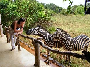Hluhluwe South Africa Hotels