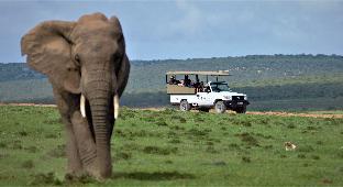 Kirkwood South Africa Hotels