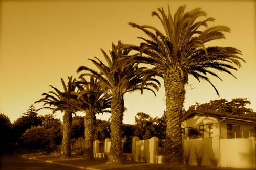 Durbanville South Africa Hotel