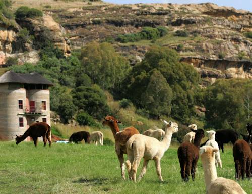 Fouriesburg South Africa Hotel