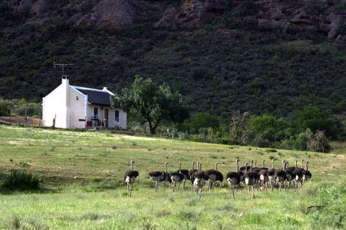 Vleirivier South Africa Hotel