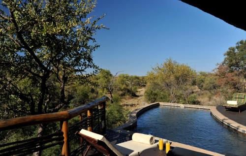 Madikwe Game Reserve South Africa Hotels