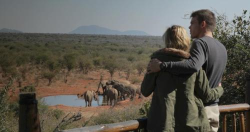 Madikwe Game Reserve South Africa Hotels
