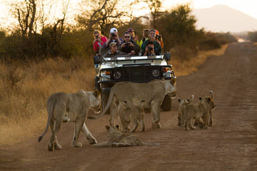 Madikwe Game Hotel South Africa Hotel