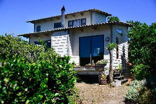 Cape St. Francis South Africa Hotels