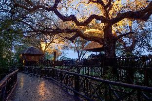 Kruger National Park South Africa Hotels