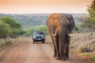 Hluhluwe South Africa Hotels