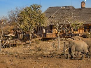 Madikwe Game Reserve South Africa Hotels